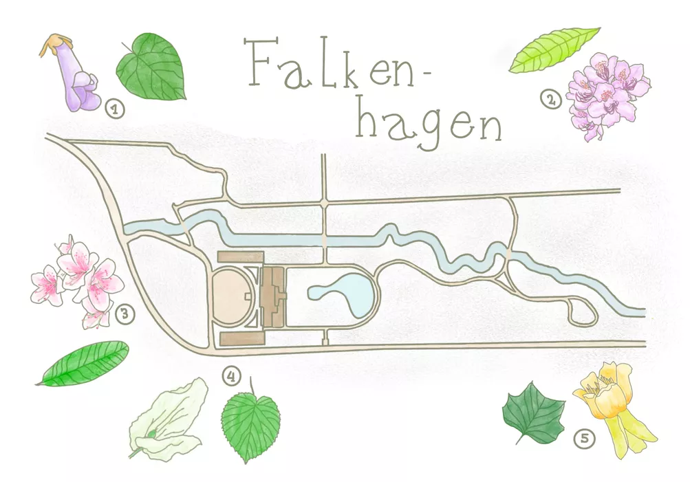 Lageplan der Pflanzen