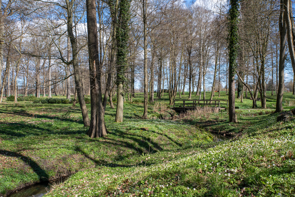 Streuobstwiese im Frühling