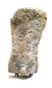 Torso – Marguerite Blume-Cardenas